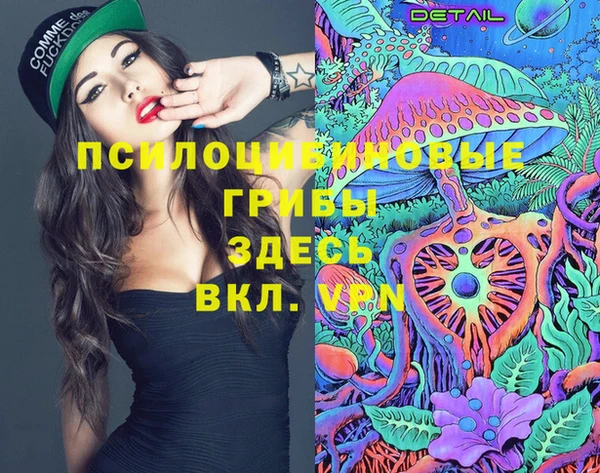 хмурый Богородицк