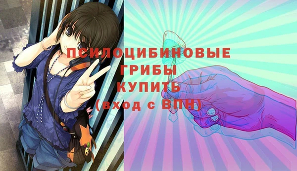хмурый Богородицк