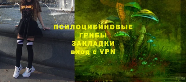 2c-b Богданович