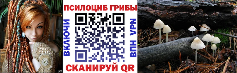Купить  Малоархангельск  Галлюциногенные грибы Cubensis 